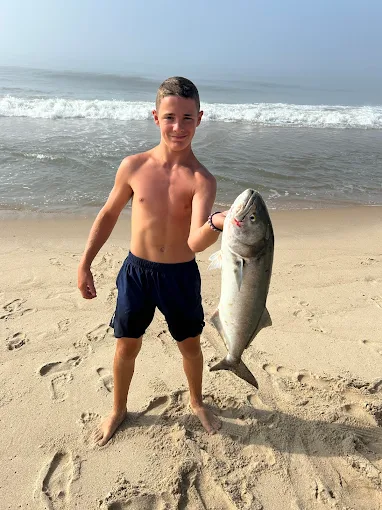 A clean Montauk bluefish
